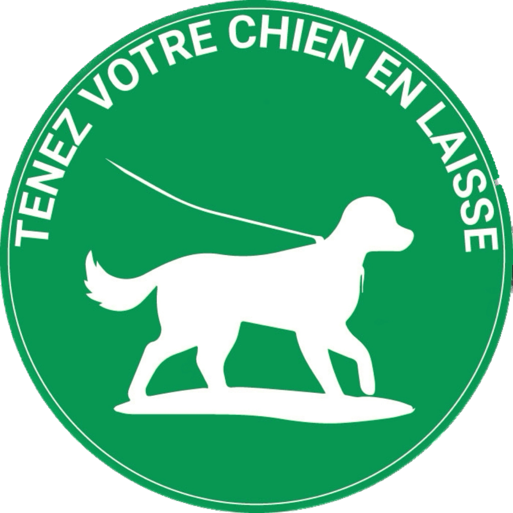 Chiens en laisse